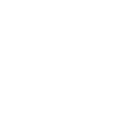 apple 2 icon