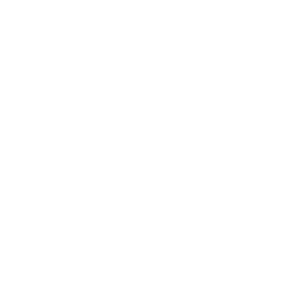 arrow down 4 icon