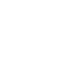 15+ Cat Icon White Png