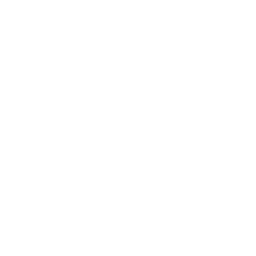 chess 42 icon
