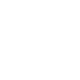 White chevrolet icon - Free white car logo icons