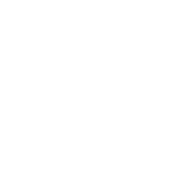 coca cola icon