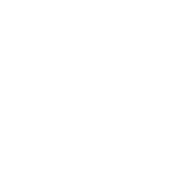 discord icon