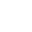 white dog 21 icon