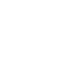 white dollar 2 icon