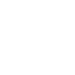 emoticon 52 icon