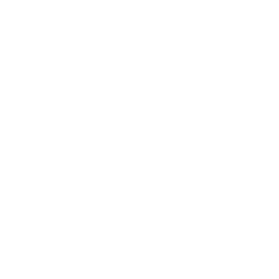 emoticon 9 icon