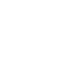 footprints dog icon