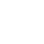 white google icon