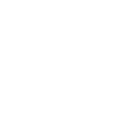 laptop 2 icon