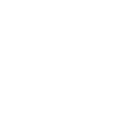 letter s icon