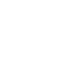 white lion icon