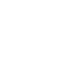 white magnet 2 icon