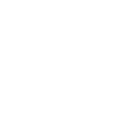 mickey mouse 39 icon