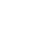 white palm tree 2 icon