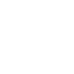 phone 19 icon