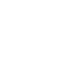 phone 42 icon