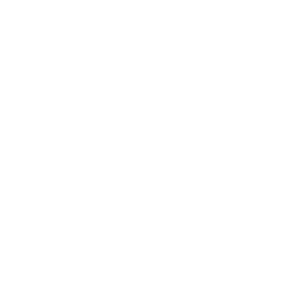 white phone icon