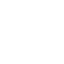 white pig 10 icon