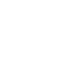 white powerpoint icon