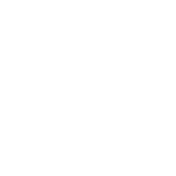 rose icon