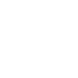Search15 White search 15 icon - Free white search icons