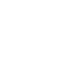 white shield 2 icon