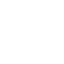 white shield icon