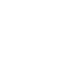 white skull 25 icon