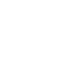 skull 35 icon