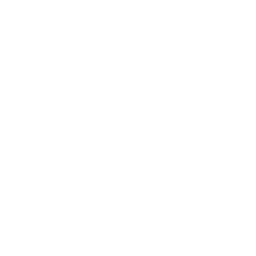 skull 49 icon