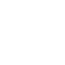 skull 63 icon