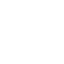 white skull 73 icon