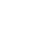 snowflake 12