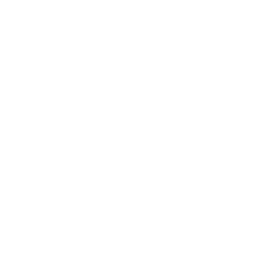 White Snow Flake