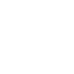 ssl badge 3 icon