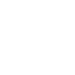 tiktok icon