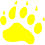 footprints bear